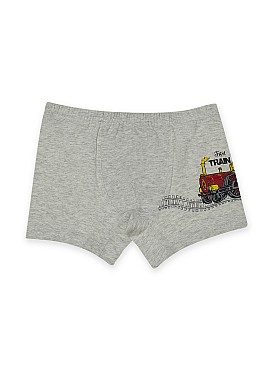 Donella 5-Piece Colorful Train Printed Boys' Boxers - 757010 - Colorful